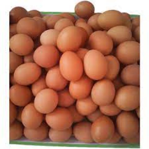 TRỨNG GÀ CÔNG NGHIỆP (1Kg)